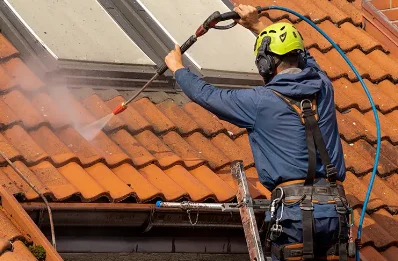 Démoussage et hydrofuge de toiture à Aroz